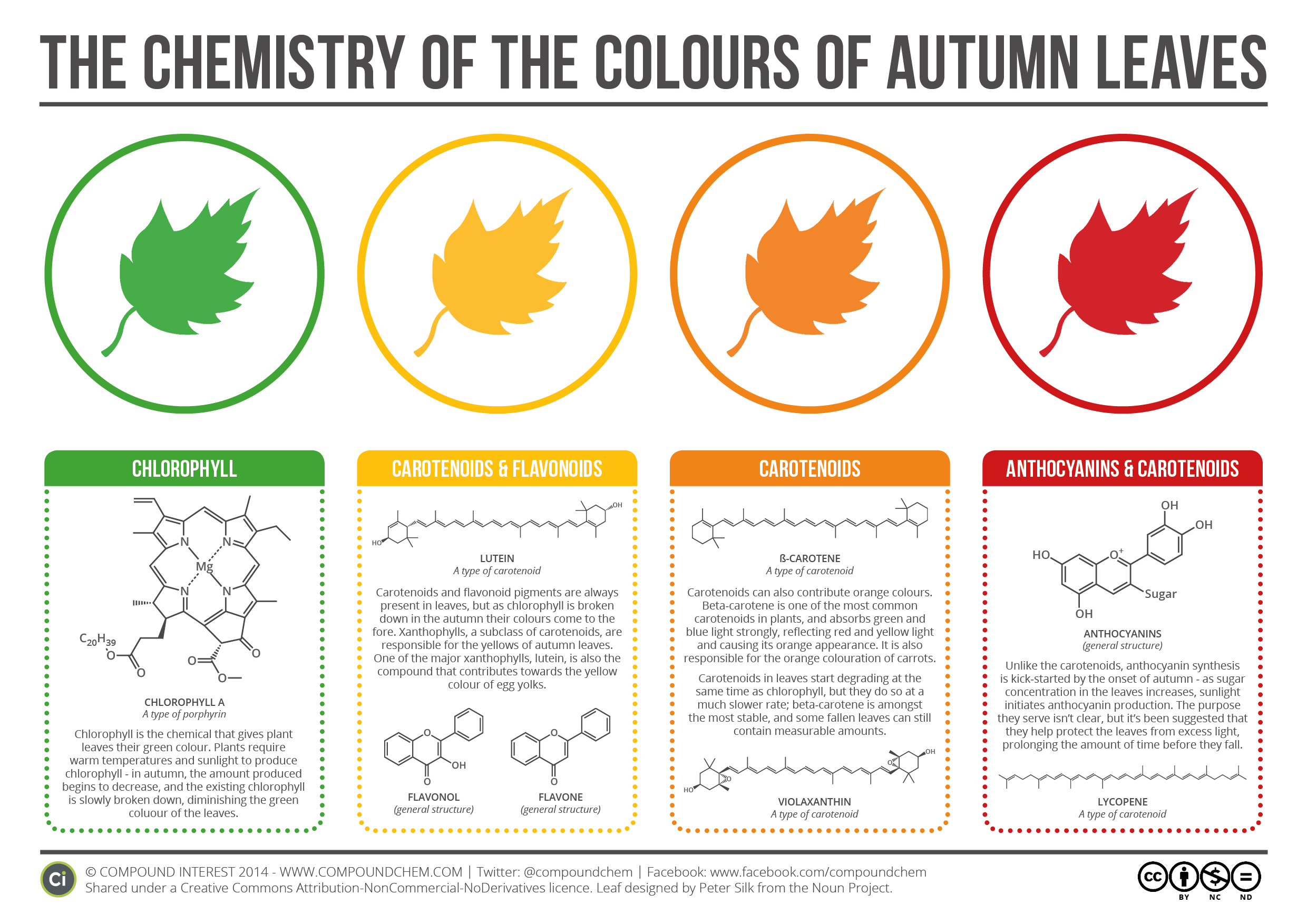 chemistry leaf colors