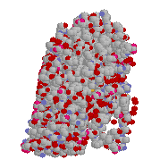 protein picture