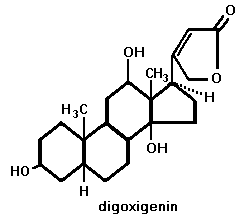 digoxigenin