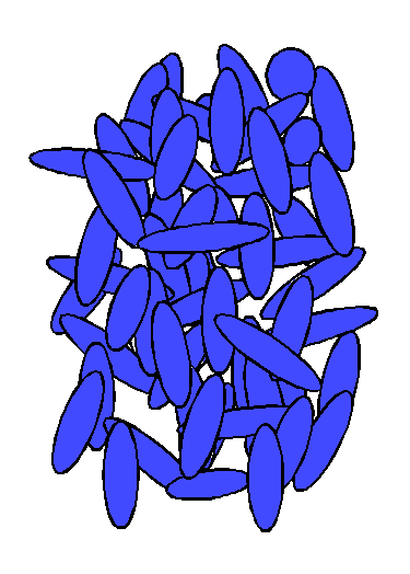 arrangement of molecules in a liquid